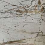 Vloerkleed Acsento, Jura 1 Multi