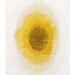 Louis De Poortere vloerkleed, Meditation Gold Moss 2100, Drop design